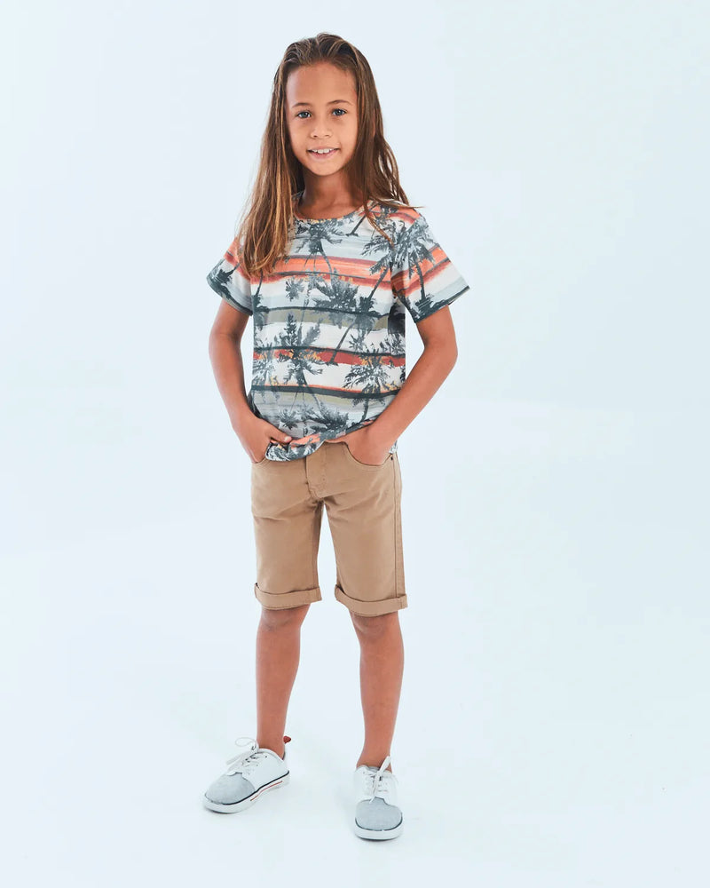 CONJUNTO PEQUENA MANIA 509/502 UNICO 08